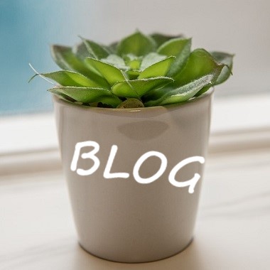 ブログ