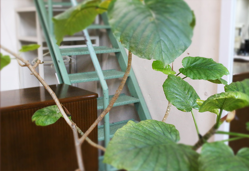 世田谷区桜新町の美容室 RECUP(レキュップ)