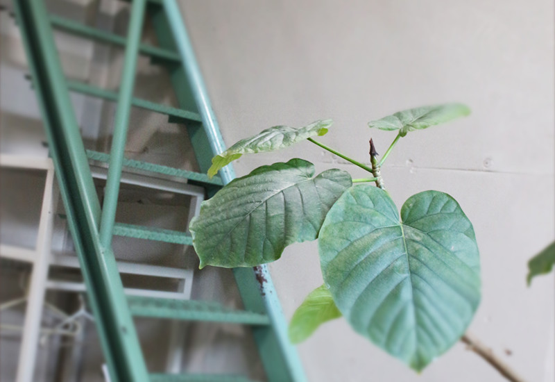 世田谷区桜新町の美容室 RECUP(レキュップ)